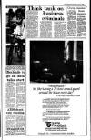 Irish Independent Wednesday 22 April 1992 Page 3