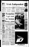 Irish Independent Saturday 30 May 1992 Page 1