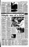 Irish Independent Wednesday 08 July 1992 Page 16