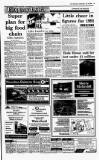 Irish Independent Wednesday 08 July 1992 Page 20