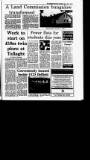 Irish Independent Friday 10 July 1992 Page 25