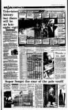 Irish Independent Wednesday 22 July 1992 Page 33