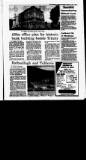 Irish Independent Friday 04 September 1992 Page 31