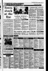 Irish Independent Wednesday 09 September 1992 Page 21