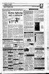 Irish Independent Saturday 19 September 1992 Page 34