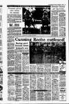 Irish Independent Thursday 24 September 1992 Page 17