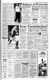 Irish Independent Saturday 10 October 1992 Page 23