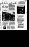 Irish Independent Tuesday 03 November 1992 Page 33