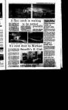 Irish Independent Friday 06 November 1992 Page 33