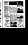 Irish Independent Friday 13 November 1992 Page 33