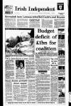 Irish Independent Saturday 02 January 1993 Page 1
