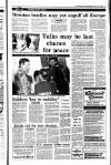 Irish Independent Saturday 02 January 1993 Page 13