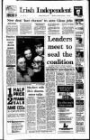 Irish Independent Tuesday 05 January 1993 Page 1