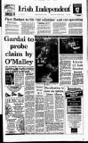 Irish Independent Wednesday 06 January 1993 Page 1