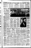 Irish Independent Wednesday 06 January 1993 Page 13