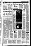 Irish Independent Wednesday 13 January 1993 Page 17