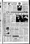 Irish Independent Wednesday 13 January 1993 Page 19