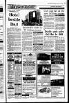 Irish Independent Wednesday 13 January 1993 Page 25