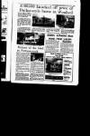 Irish Independent Friday 15 January 1993 Page 29