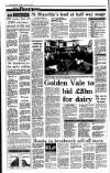 Irish Independent Monday 18 January 1993 Page 4