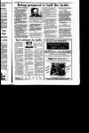 Irish Independent Tuesday 19 January 1993 Page 39