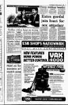 Irish Independent Thursday 21 January 1993 Page 3