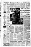 Irish Independent Saturday 23 January 1993 Page 3