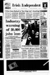 Irish Independent Saturday 30 January 1993 Page 1