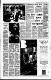 Irish Independent Monday 15 February 1993 Page 3