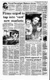 Irish Independent Monday 15 February 1993 Page 15