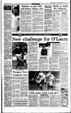 Irish Independent Tuesday 02 February 1993 Page 17