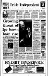 Irish Independent Thursday 04 February 1993 Page 1