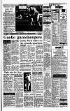 Irish Independent Saturday 06 February 1993 Page 19