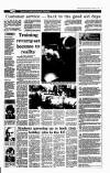 Irish Independent Thursday 11 February 1993 Page 29