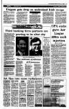Irish Independent Monday 15 February 1993 Page 13
