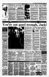 Irish Independent Wednesday 17 February 1993 Page 17