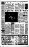 Irish Independent Thursday 18 February 1993 Page 15
