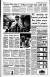 Irish Independent Saturday 03 April 1993 Page 7