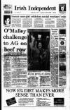Irish Independent Monday 17 May 1993 Page 1