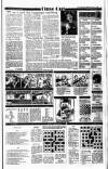 Irish Independent Monday 17 May 1993 Page 21