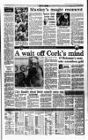 Irish Independent Monday 24 May 1993 Page 25