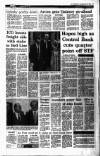 Irish Independent Saturday 29 May 1993 Page 13