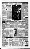 Irish Independent Thursday 03 June 1993 Page 14
