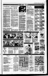 Irish Independent Monday 07 June 1993 Page 19