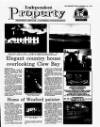 Irish Independent Friday 11 June 1993 Page 25