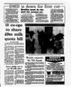 Irish Independent Tuesday 22 June 1993 Page 29