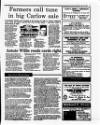 Irish Independent Tuesday 22 June 1993 Page 43