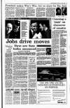 Irish Independent Thursday 24 June 1993 Page 9