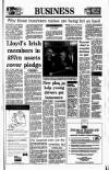 Irish Independent Thursday 24 June 1993 Page 29