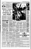 Irish Independent Saturday 26 June 1993 Page 4
